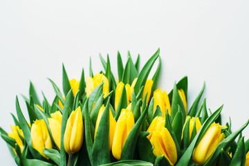Beautiful fresh yellow tulips  isolated on white background. Top view. 
