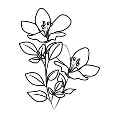 beautiful flowers decorative icon