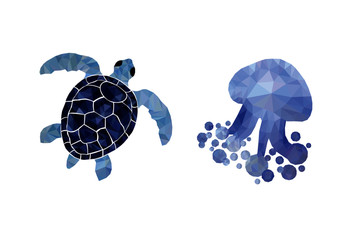 Polygon- Turtle and Jellyfish