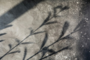 The sun light is casting over gray concrete wall, sunshade shadow of leaves. Summer background