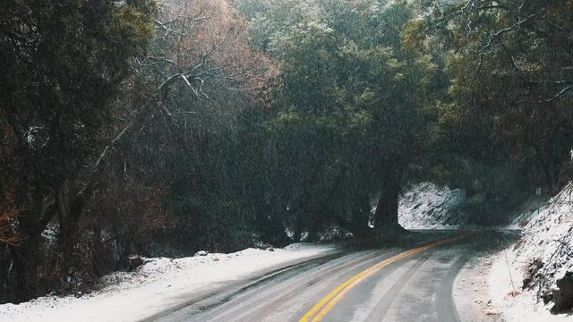 Light snowfall on winding road through forest trees on winter day, Static Shot