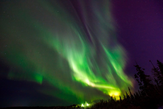 Green northern lights in sky, black silhouettes trees on horizon