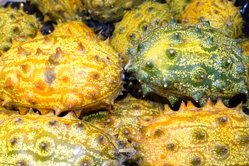 Horngurke oder Hornmelone (Cucumis metuliferus)