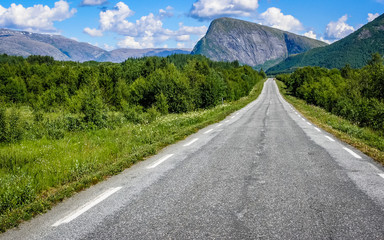 Fototapeta premium Road in Norway going through the forest