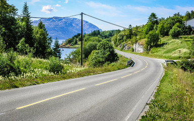 Road in Norway going through the forest overlooking the fjord.