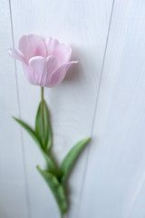 Vertical. Pink tulip on a white wooden table