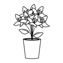 floral decoration in clay pot