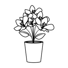 floral decoration in clay pot