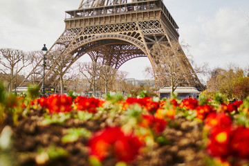 Eiffel tower seen through the flowers in Paris