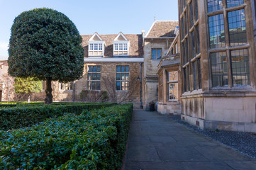 Naklejka premium Cambridge City, England - Stunning Courtyards and impresive architecture in springtime