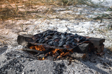 Mussels on the fire. Wild beach
