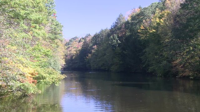 бег в лесу. светлоярское озеро сормово. озера бежать. озера бежать. парень с девушкой в зеленой одежде бегут.