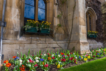 Fototapeta na wymiar Cambridge City, Amazing architectural design with flowers inside interior courtyard