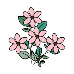beautiful flowers decorative icon