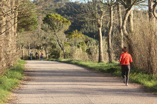 Runner in rural road with trees