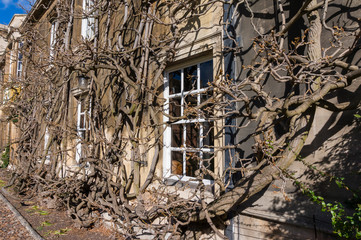 Cambridge City, United Kingdom - Exploring campus of Cambridge and its colleges on a summer day. Conceptual image of education and tourism.