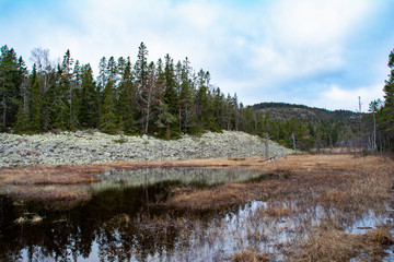 Parc National de Skuleskogen