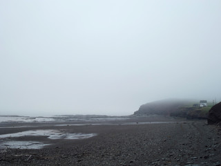 Low Tide in the Fog