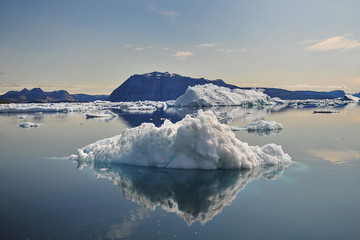Drifting Icebergs near the coast of Greenland.