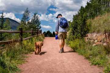 Man walking labradoodle dog on trail on hot day