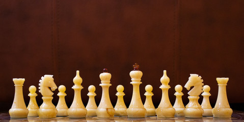 White chess pieces on chessboard as a concept of uniformity and diversity