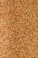 Buckwheat