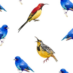 Watercolor Bluebird,tit bird, parrot and yellow birds. Seamless pattern. Hand Painted Illustration isolated on white background