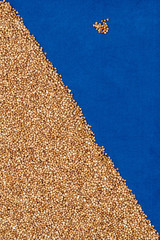 Buckwheat on blue cloth with scattered grains