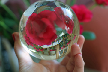 Rose Glaskugel