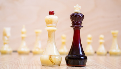 Obraz na płótnie Canvas Black and white chess pieces interaction