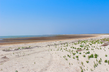 Rare Islands of dried grass in the steppe