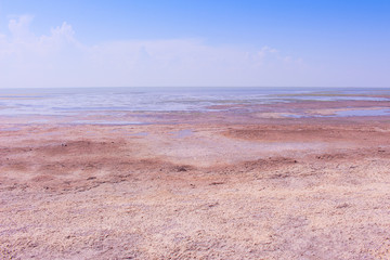 Salt lake shore