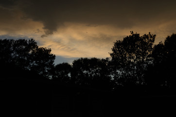 Louisiana sunset, dark clouds and trees