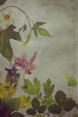 Old grunge background with floral pattern herbarium