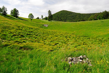 Bergwiese im Naturreservat Bijele und Samarske Stijene (Velika Kapela), Kroatien