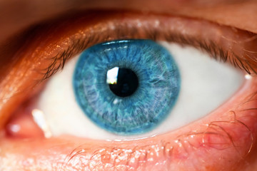 bright clean male eyes with blue iris, macro
