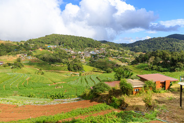 Hill tribe village on mountain in Mae Rim, Chiang Mai, north of Thailand
