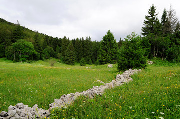 Bergwiese im Naturreservat Bijele und Samarske Stijene (Velika Kapela), Kroatien