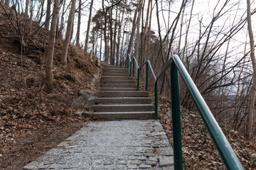 A path through a forest of staircases. woods, incline