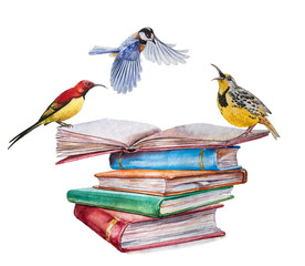 High books stack isolated on white background with three birds. Sketch handmade. Postcard for holiday. Watercolor illustration.