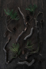 Spruce branches postcard