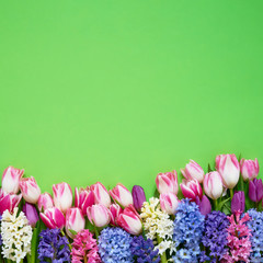 Hyacinths and pink tulips on green background. Top view, copy space. Greeting card.