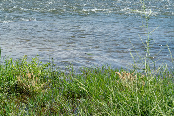 Grass and River