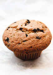 Freshly baked Chocolate Chip Muffin or cupcake from coffee shop, cafe or bakery in Williamsburg, Brooklyn, New York City, close up with selective focus