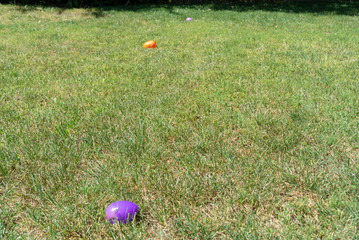 Easter eggs in yeard