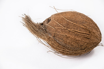 ripe coconut on a white background