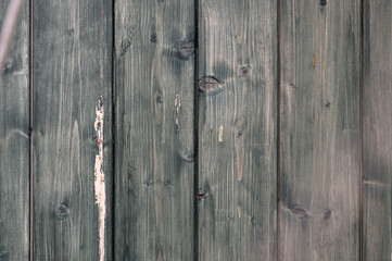 Holz