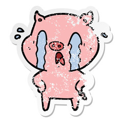 distressed sticker of a crying pig cartoon