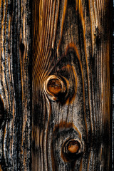 Holz