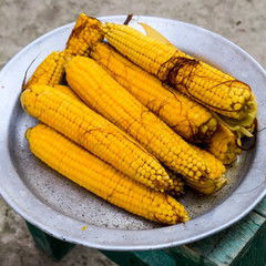 Boiled corn on an aluminum tray. Yellow boiled young corn, useful and tasty food